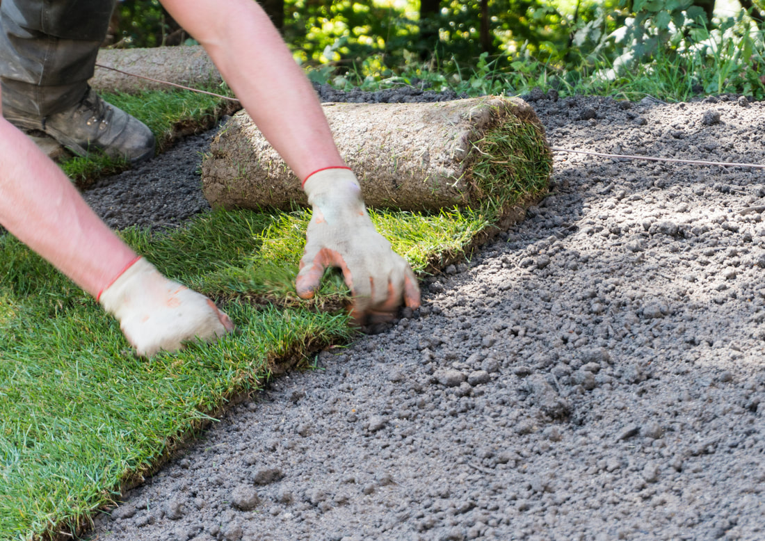 get the lawn and sod of your dreams
